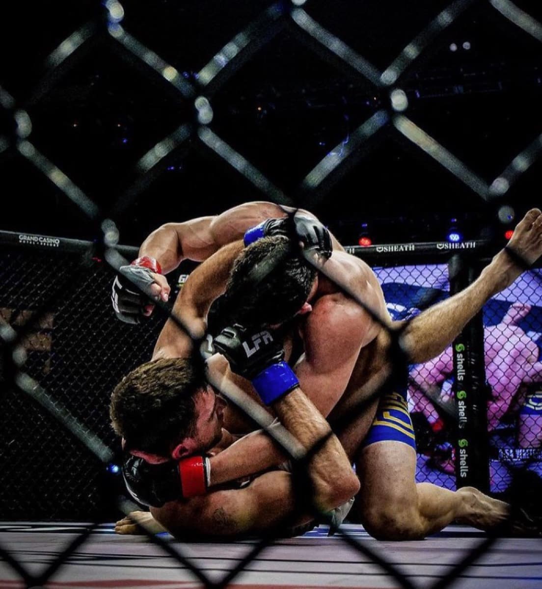 Fight night in the cage